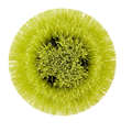 Ryobi 150mm Round Medium Bristle Brush - Effective Cleaning Tool - Grout & Tile - SuperSaverAU - view 2