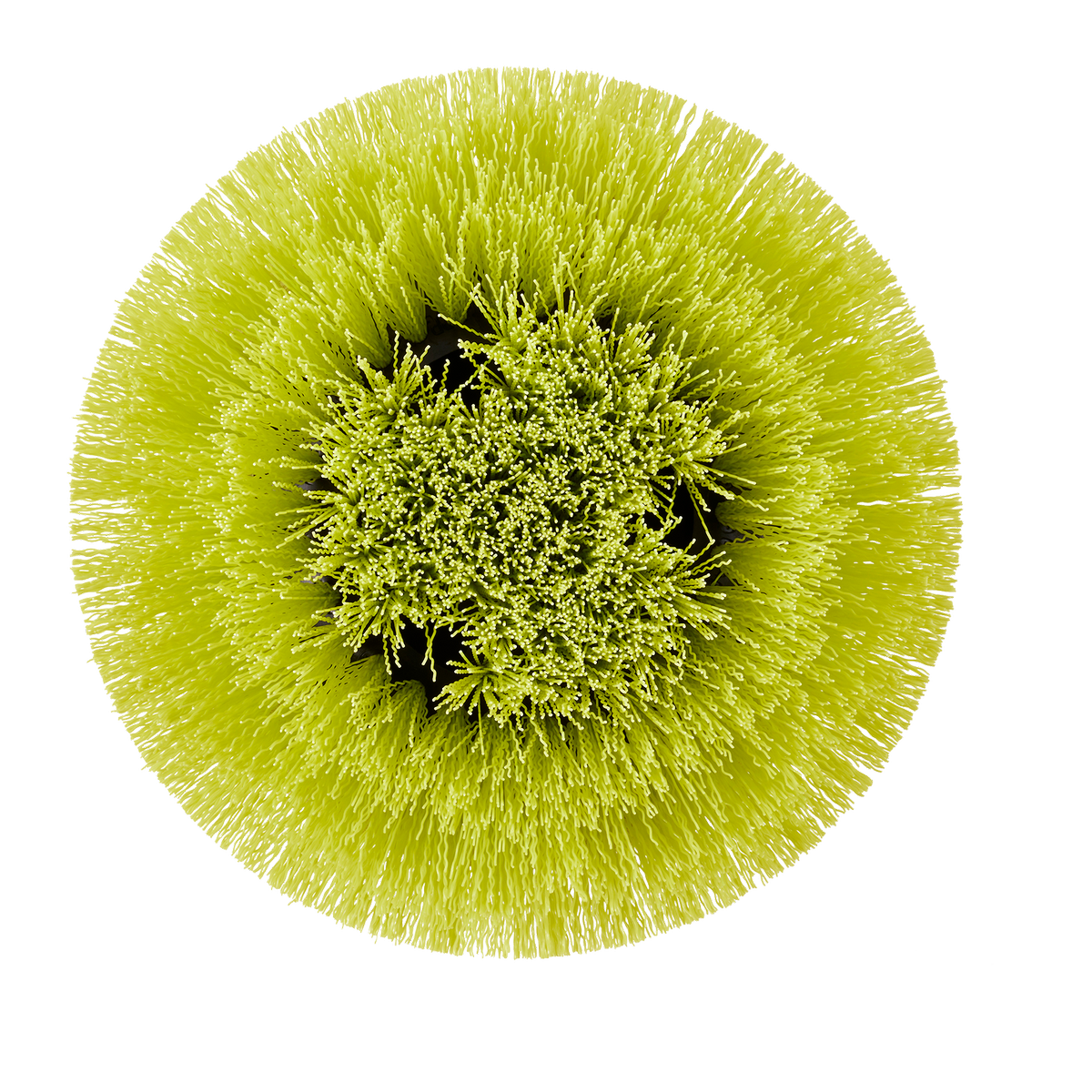 Ryobi 150mm Round Medium Bristle Brush - Effective Cleaning Tool - Grout & Tile - SuperSaverAU - view 2