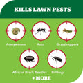 Yates Advanced Lawn Insect Killer 200ml - Controls Grubs, Ants, Grasshoppers - SuperSaverAU - view 4