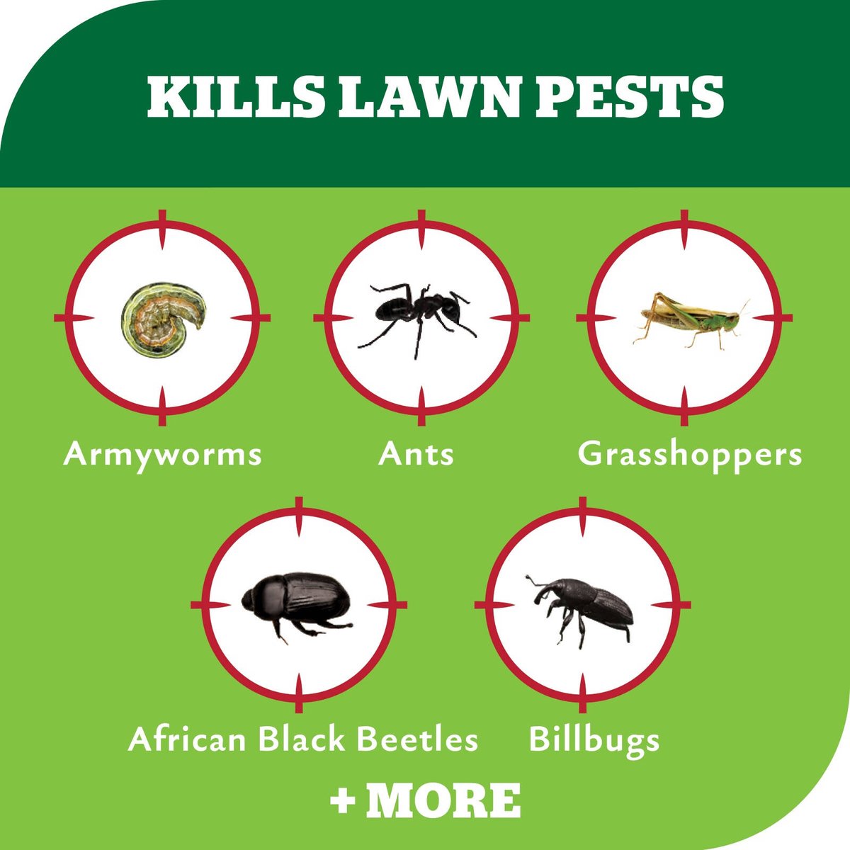 Yates Advanced Lawn Insect Killer 200ml - Controls Grubs, Ants, Grasshoppers - SuperSaverAU - view 4