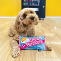 Baxter Bone Chewbarkers Plush Pet Toy - 200mm x 110mm x 40mm - Durable Squeaker - SuperSaverAU - view 4