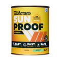 Taubmans Sunproof Accent Gloss Water Based Acrylic Exterior Paint 1L
