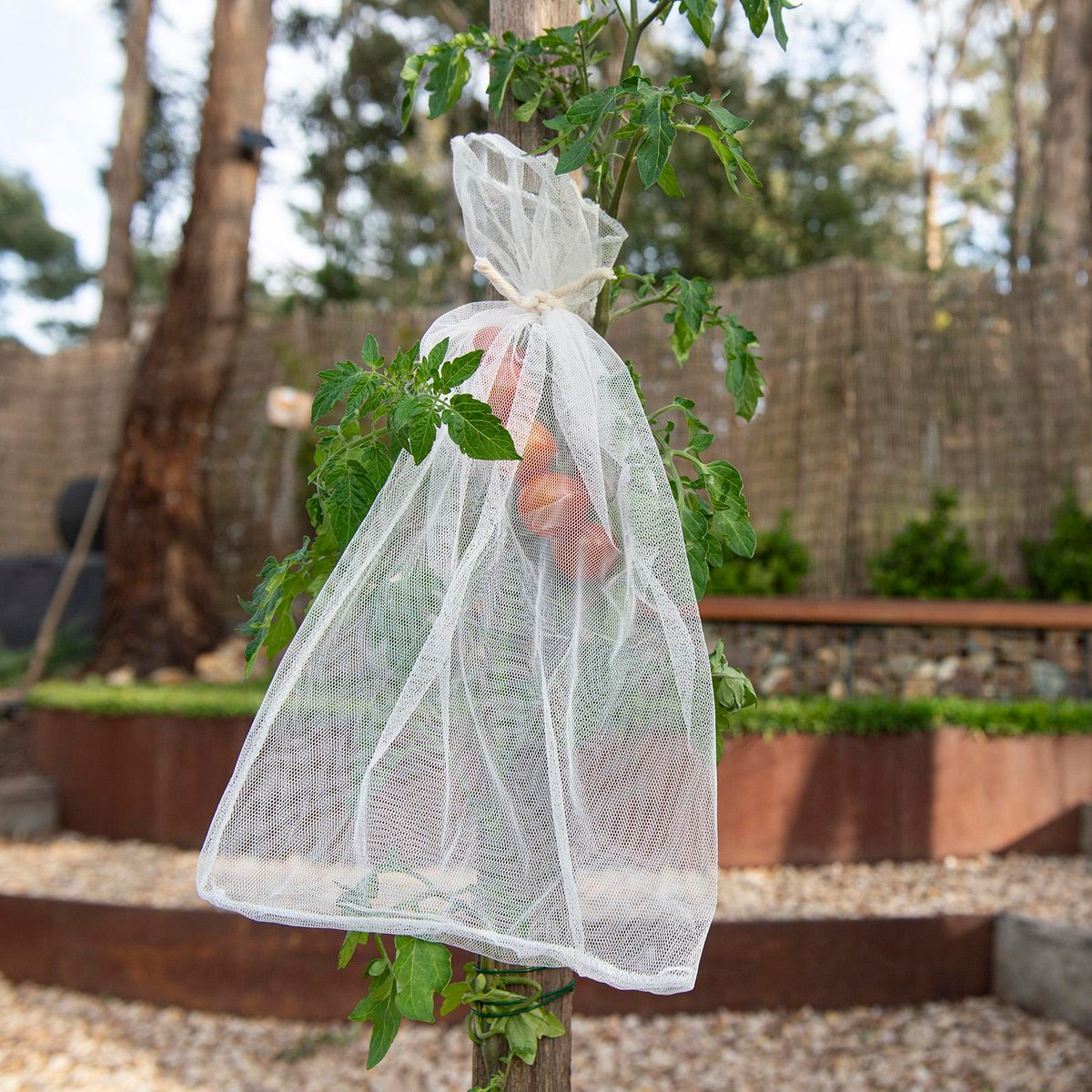 Backyard Farmer Netting Sleeve 3 Pack - 25 x 43cm - UV-Resistant Protection - SuperSaverAU - view 2