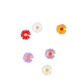 Daisy Iron on Embroidered Patches for Clothing Repair and DIY Crafts, Pack of 6 - view 2