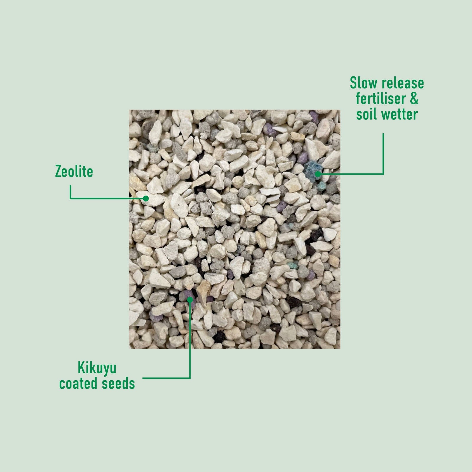 Munns Professional 500g Pure Emerald Kikuyu Lawn Seed Drought Tolerant