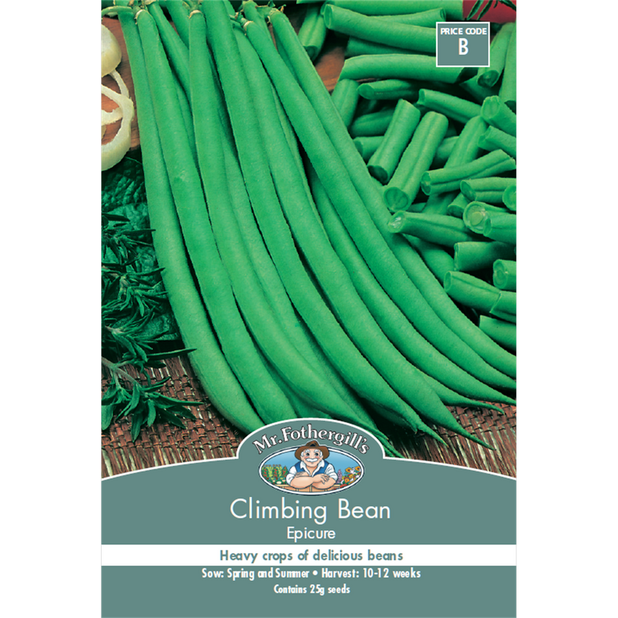 Mr Fothergill Climbing Bean Seeds 12 Weeks Green Premium Flavor - SuperSaverAU - view 1