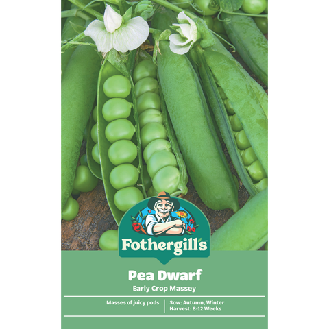 Mr Fothergill's Early Crop Massey Pea Seeds - Sweet Well-Filled Pods