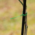 Jack Twist Plant Tie - 100m - Wire/Plastic - Strong Flexible - SuperSaverAU - view 2
