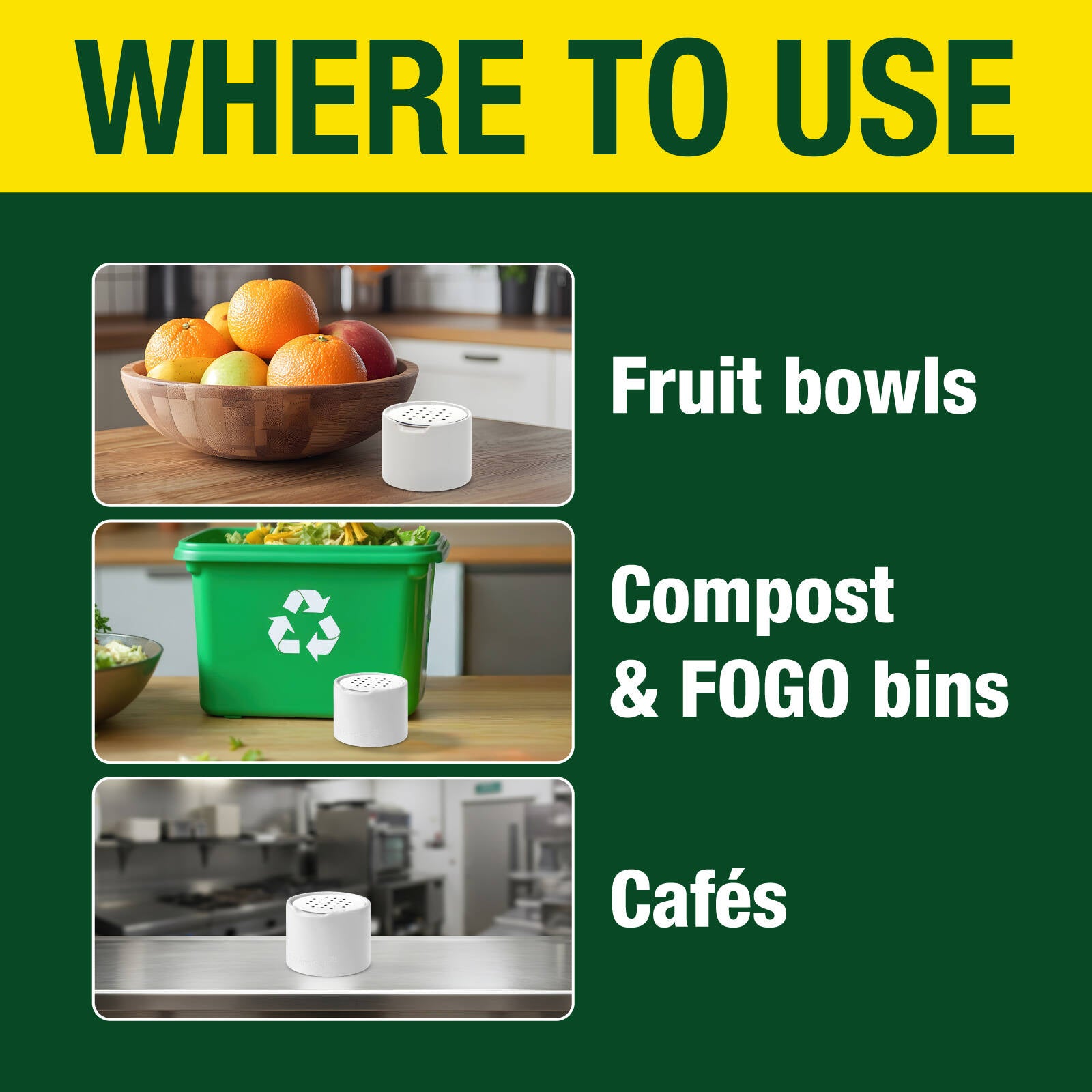 EnviroSafe Indoor Fruit Fly Trap