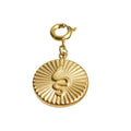 Detachable Titanium Steel Pendant - Gold Ribbed Medallion with Snake