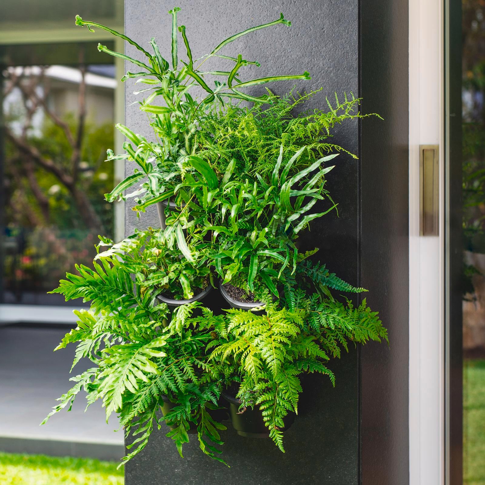 Holman Greenwall Slim Mounted Kit 198 x 535mm - Black Vertical Garden with Watering System