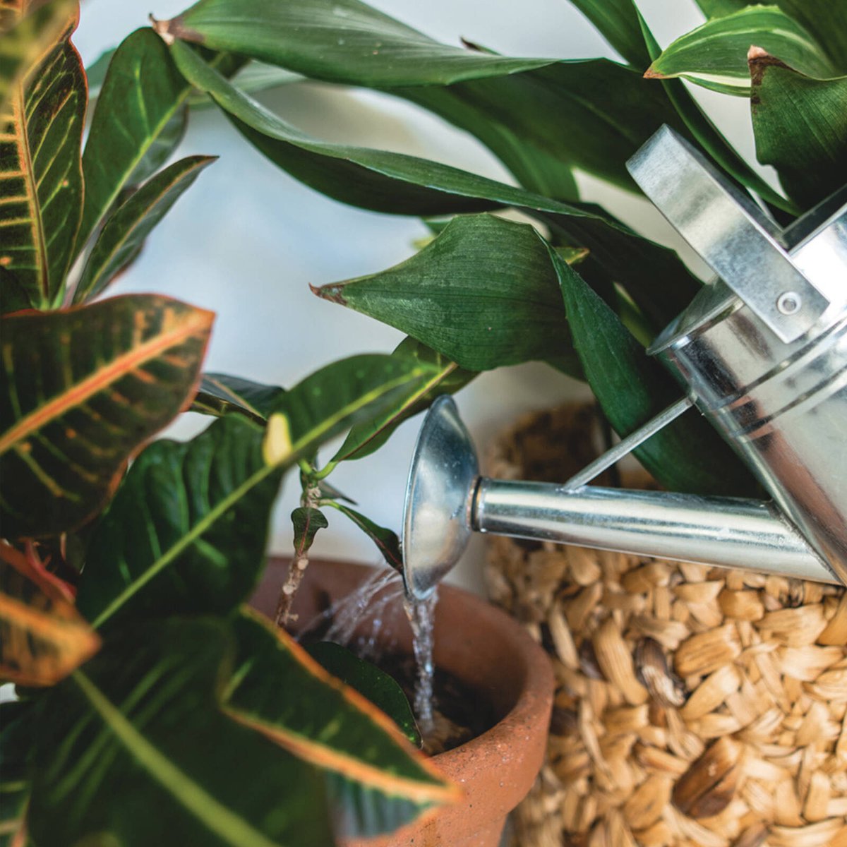 Holman 5L Galvanised Watering Can - Silver - Durable Metal Construction