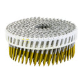 Titan 50 x 2.5mm Hot Dipped Galvanised Ring Shank Collated Coil Nail - 1600 Pack