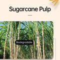 Disposable Sugarcane Pulp Ice Cream Cups - 300 ml, Smooth Finish, Pack of 50, White - view 5