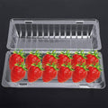 Disposable Transparent Food Grade Cake and Pastry Takeaway Box, Pack of 100 - 23 x 10.5 x 7 cm - view 5