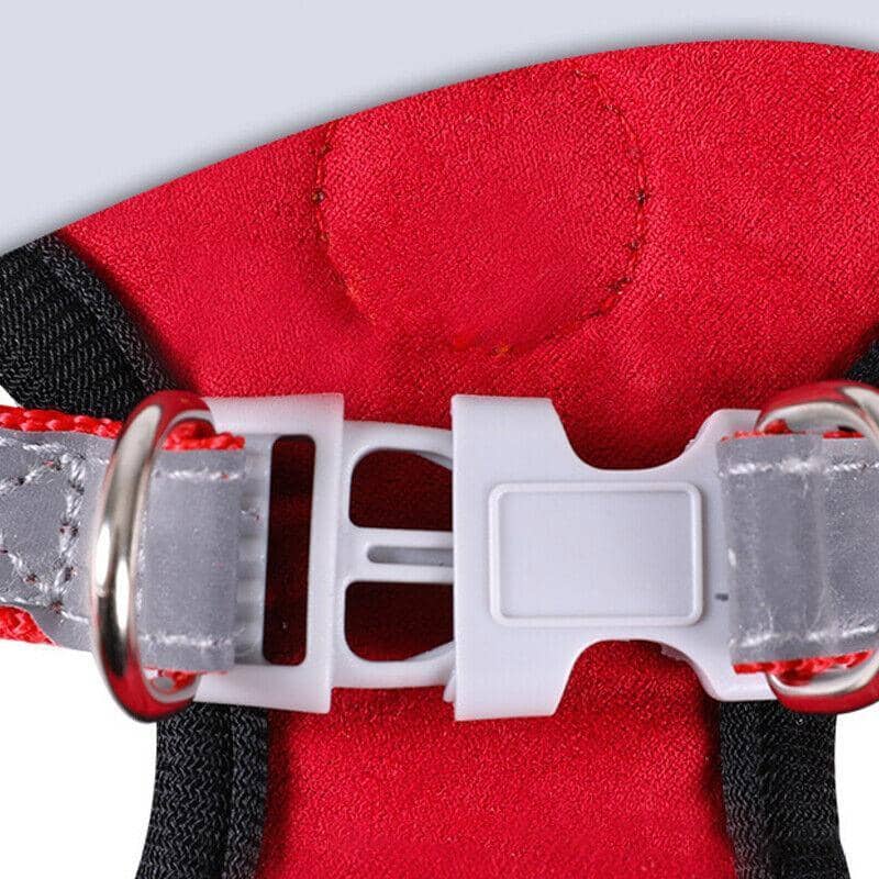 Dog and Cat Harness with 1.5 m Leash - Pink, XXS (Chest 32-41 cm) - view 5