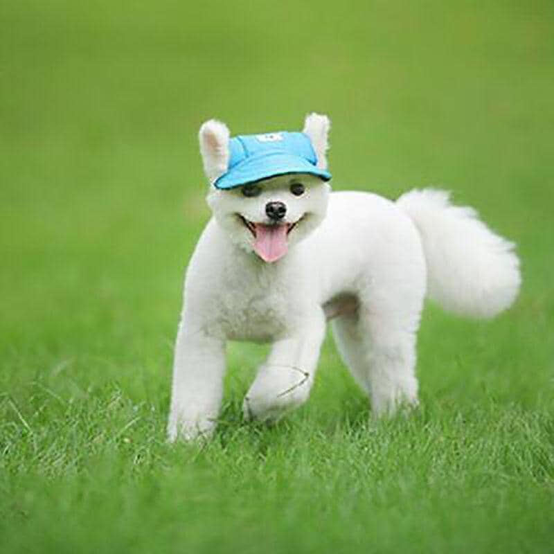 Dog Baseball Cap Sun Hat with Ear Holes - Denim Blue, XL (Head 48 cm) - view 5