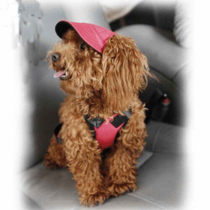 Dog Baseball Cap Sun Hat with Ear Holes - Rainbow Stripe, XL (Head 48 cm) - view 4