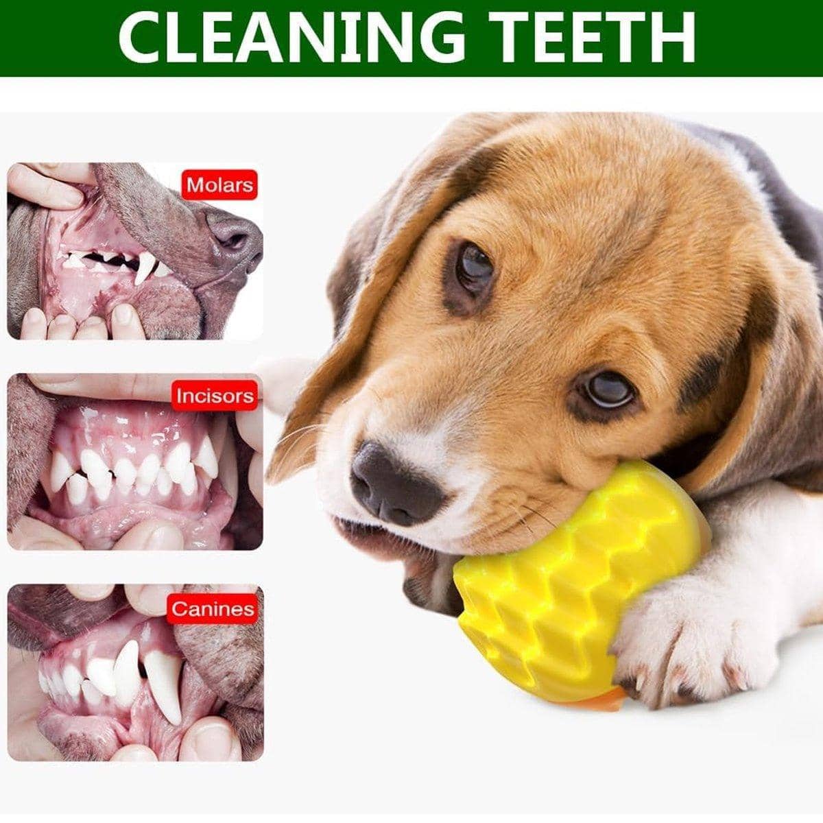 Dog Chew Ball with Giggle Sound, Elastic Rubber - Teal - view 5