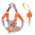 Dog Harness and Leash Set, Orange and Light Blue - Size XS (Chest 41-50 cm)