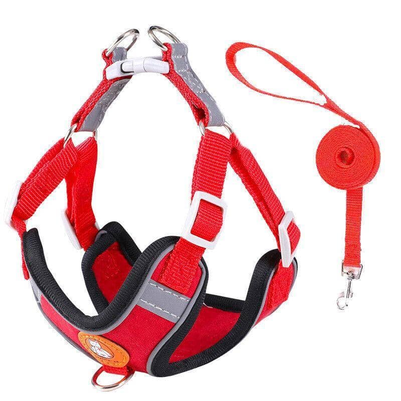 Dog Harness and Leash Set - Red, Size L (Chest 64-77 cm)