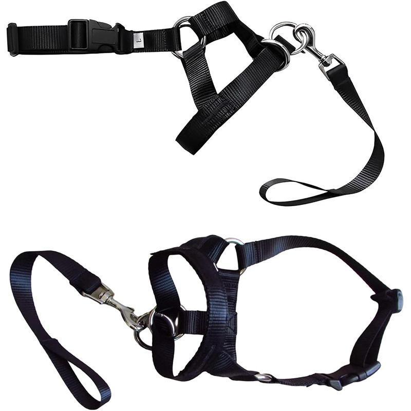 Dog Head Collar Halter - Black, Size M (Neck 33-40 cm) - view 3