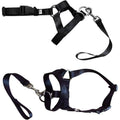 Dog Head Collar Halter - Black, Size XL (Neck 43-58 cm) - view 3