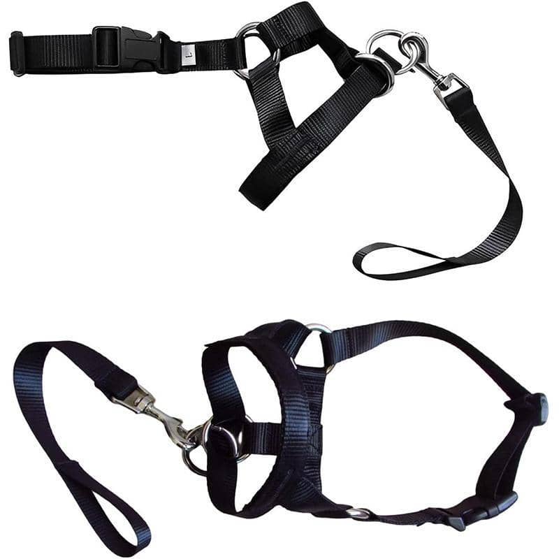 Dog Head Collar Halter - Black, Size XL (Neck 43-58 cm) - view 3