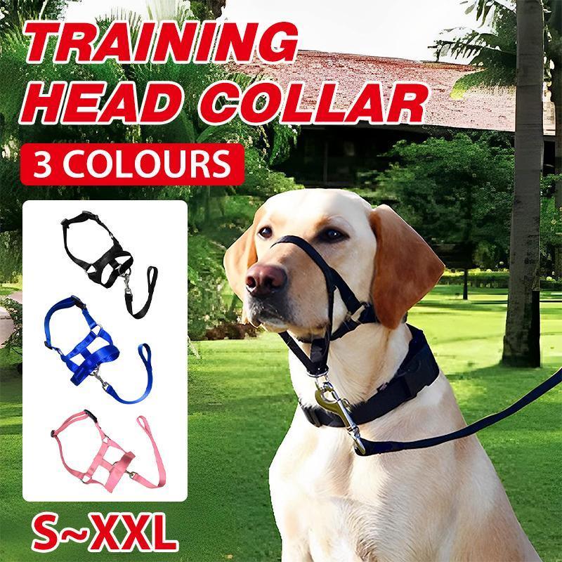 Dog Head Collar Halter - Black, Size XXL (Neck 48-65 cm) - view 2