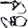 Dog Head Collar Halter - Black, Size XXL (Neck 48-65 cm) - view 3