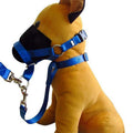 Dog Head Collar Halter - Black, Size XXL (Neck 48-65 cm) - view 5