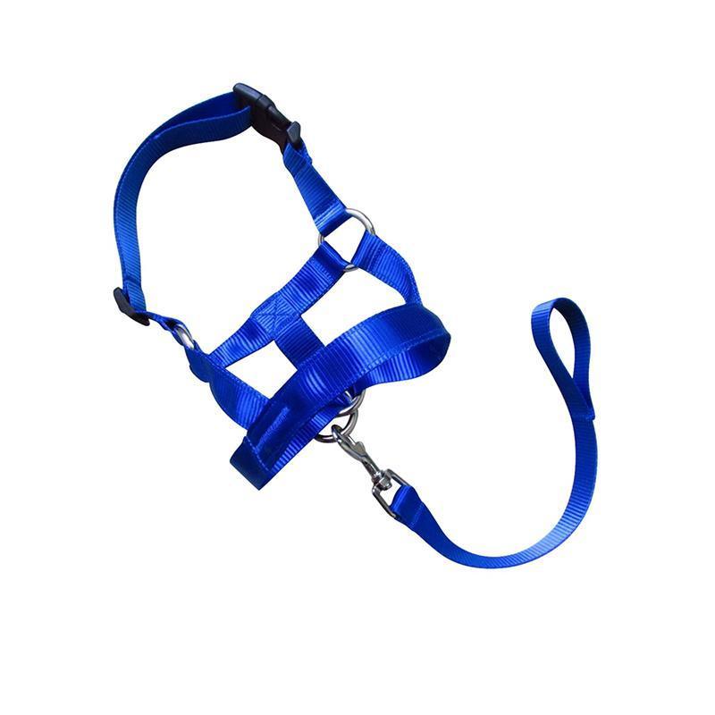 Dog Training Head Collar Halter, Stop Pulling - Blue, Size L (Snout 12-30 cm, Neck 38-50 cm) - view 3