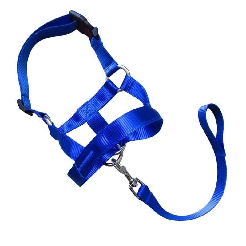 Dog Training Head Collar Halter, Stop Pulling - Blue, Size M (Snout 10-25 cm, Neck 33-40 cm)