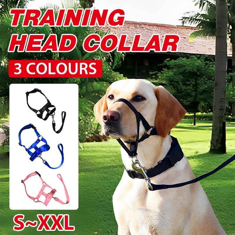 Dog Training Head Collar Halter, Stop Pulling - Blue, Size M (Snout 10-25 cm, Neck 33-40 cm) - view 2