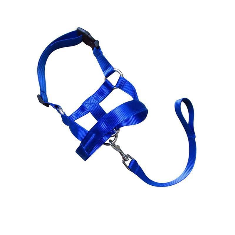 Dog Training Head Collar Halter, Stop Pulling - Blue, Size S (Snout 8-20 cm, Neck 28-35 cm) - view 3