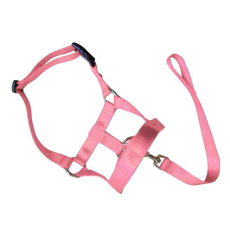 Dog Training Head Collar Halter, Stop Pulling - Pink, Size L (Neck 38-50 cm)
