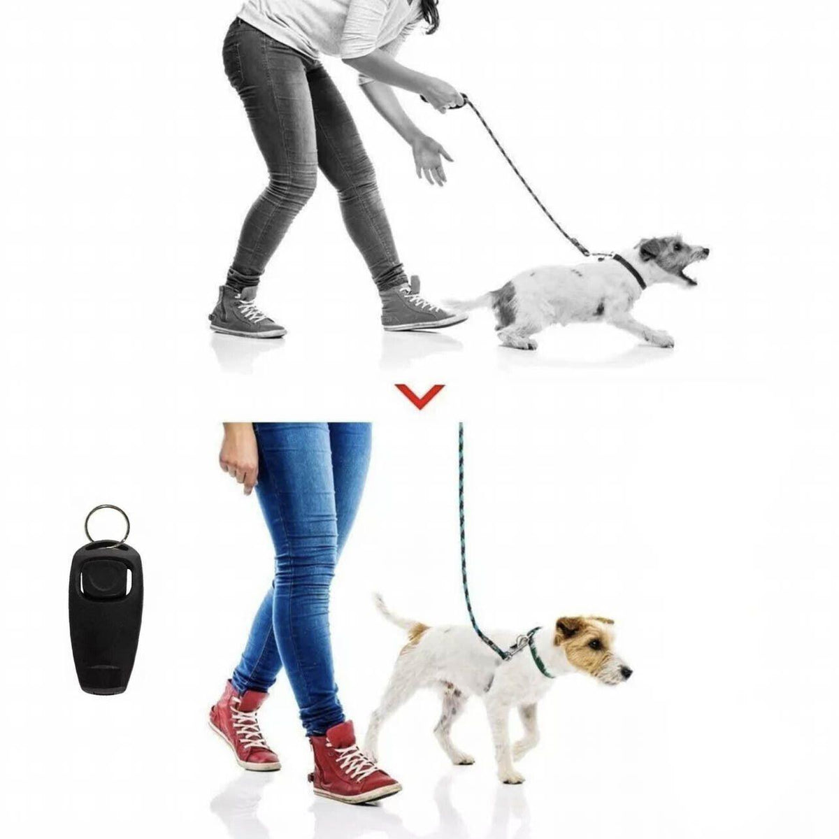 Dog Training Whistle and Clicker Combo - Pink - view 12