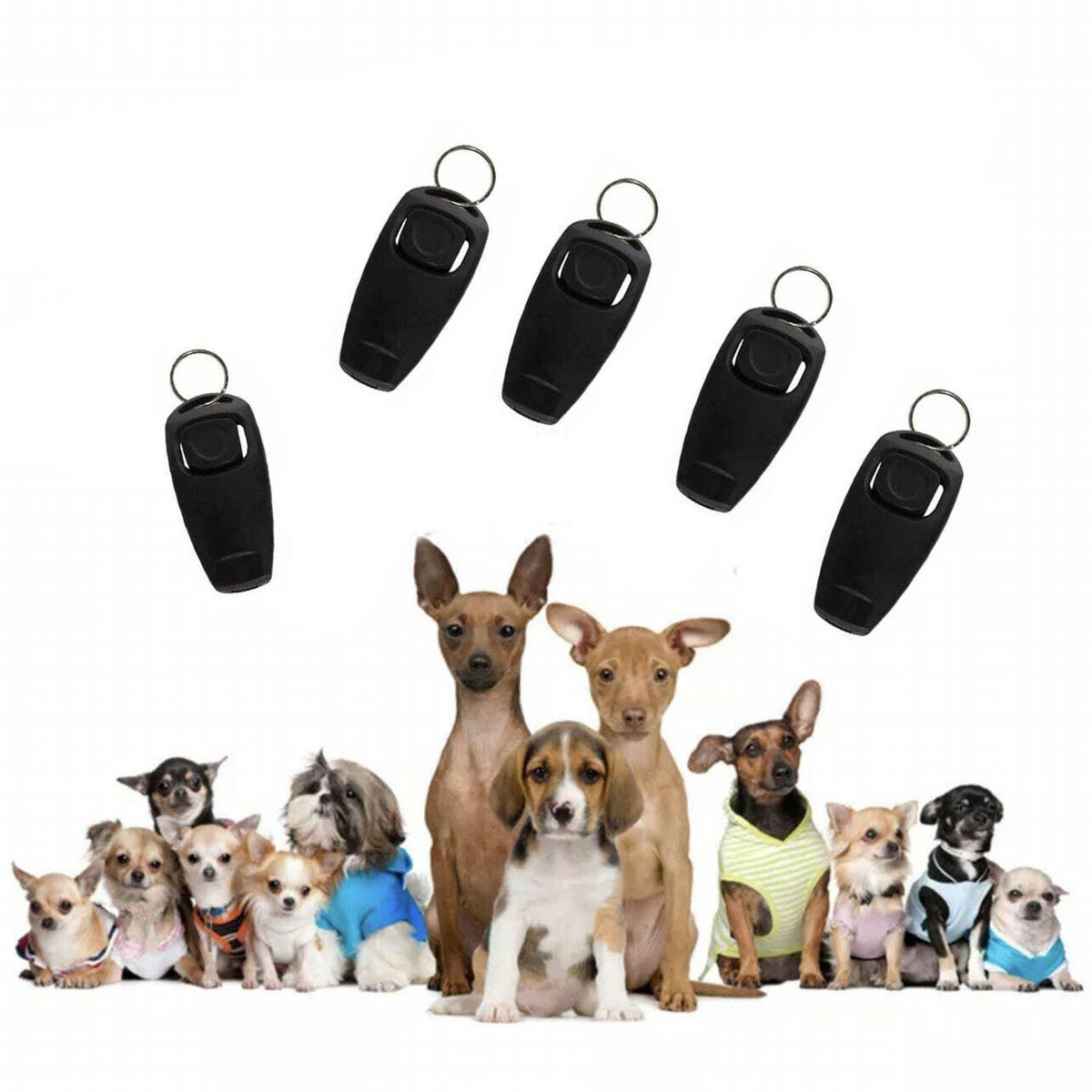 Dog Training Whistle and Clicker Combo - Sky Blue - view 14