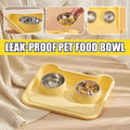 Double Pet Feeding Bowl Set with Tilted Anti Spill Tray for Dogs and Cats