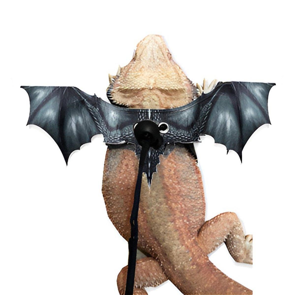 Dragon Wings Reptile Harness with Leash - Black