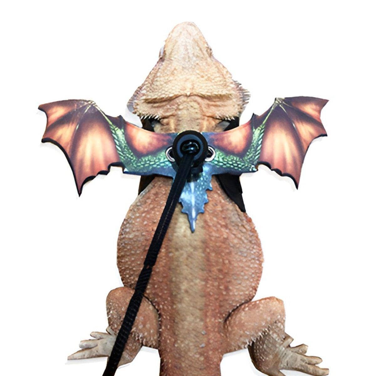 Dragon Wings Reptile Harness with Leash - Orange