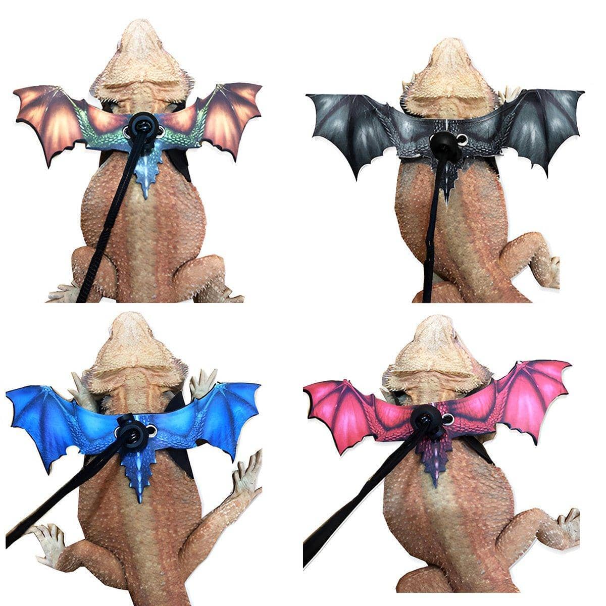 Dragon Wings Reptile Harness with Leash - Orange - view 4