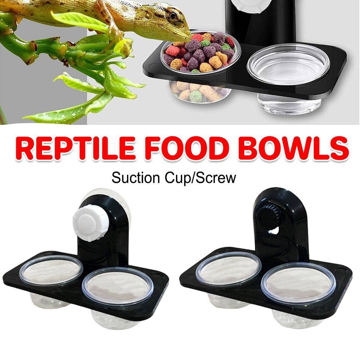 Dual Reptile Food and Water Bowl - Suction Cup Mount, Detachable - view 2