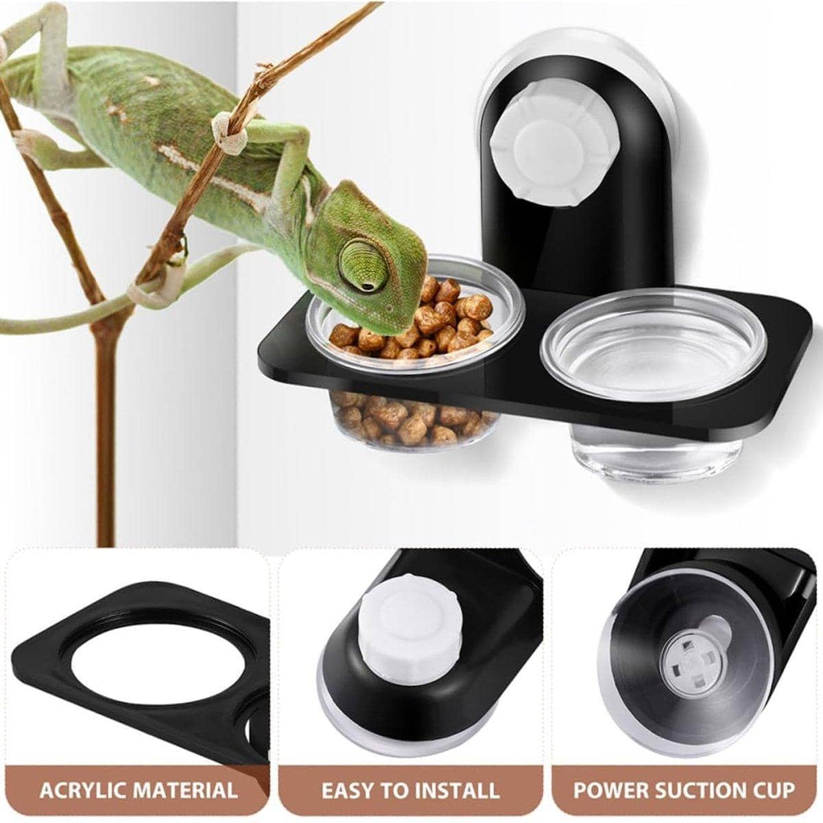 Dual Reptile Food and Water Bowl - Suction Cup Mount, Detachable - view 5