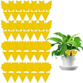 Dual-Sided Sticky Traps for Whitefly, Thrips and Gnats - Butterfly Shape, Pack of 10 - view 4
