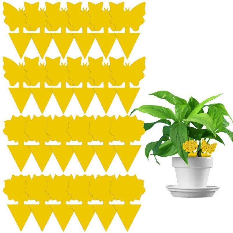Dual-Sided Sticky Traps for Whitefly, Thrips and Gnats - Butterfly Shape, Pack of 10 - view 4