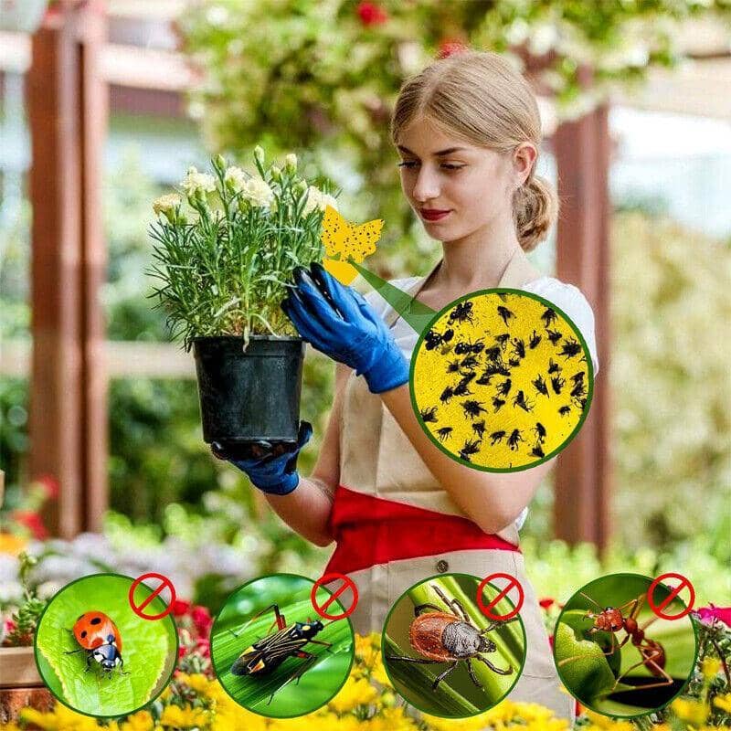 Dual-Sided Sticky Traps for Whitefly, Thrips and Gnats - Butterfly Shape, Pack of 10 - view 5