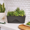 Backyard Farmer Lula Mini Greenhouse, Grey Seed Propagator