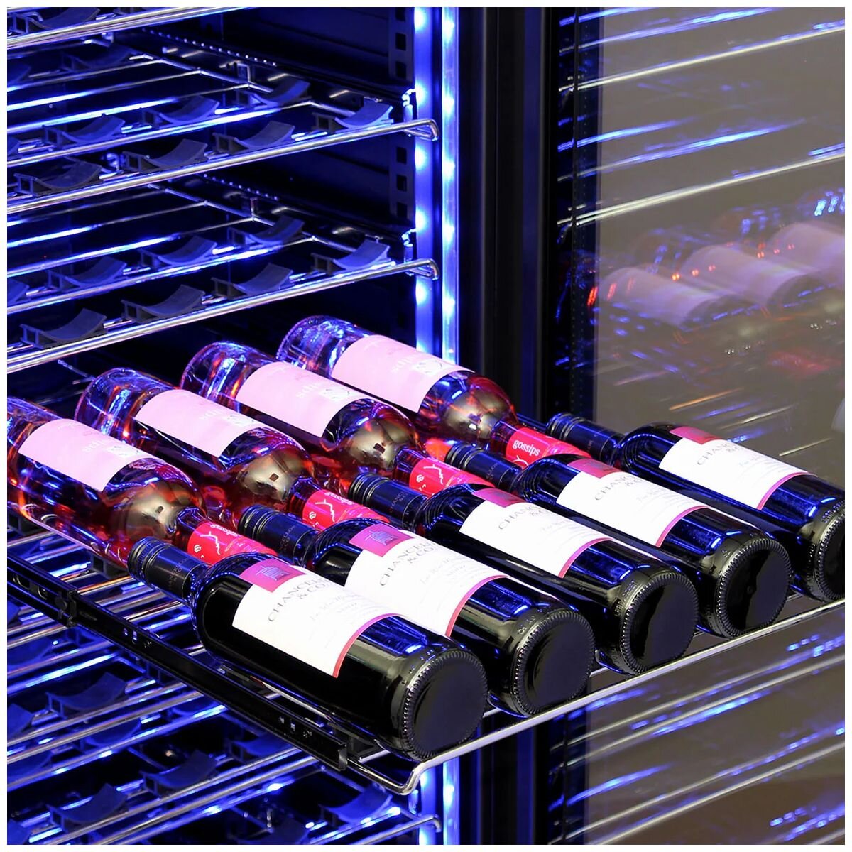 Schmick Upright Dual Zone Glass Door Wine Refrigerator - Stainless Steel - Front Venting - BD425D