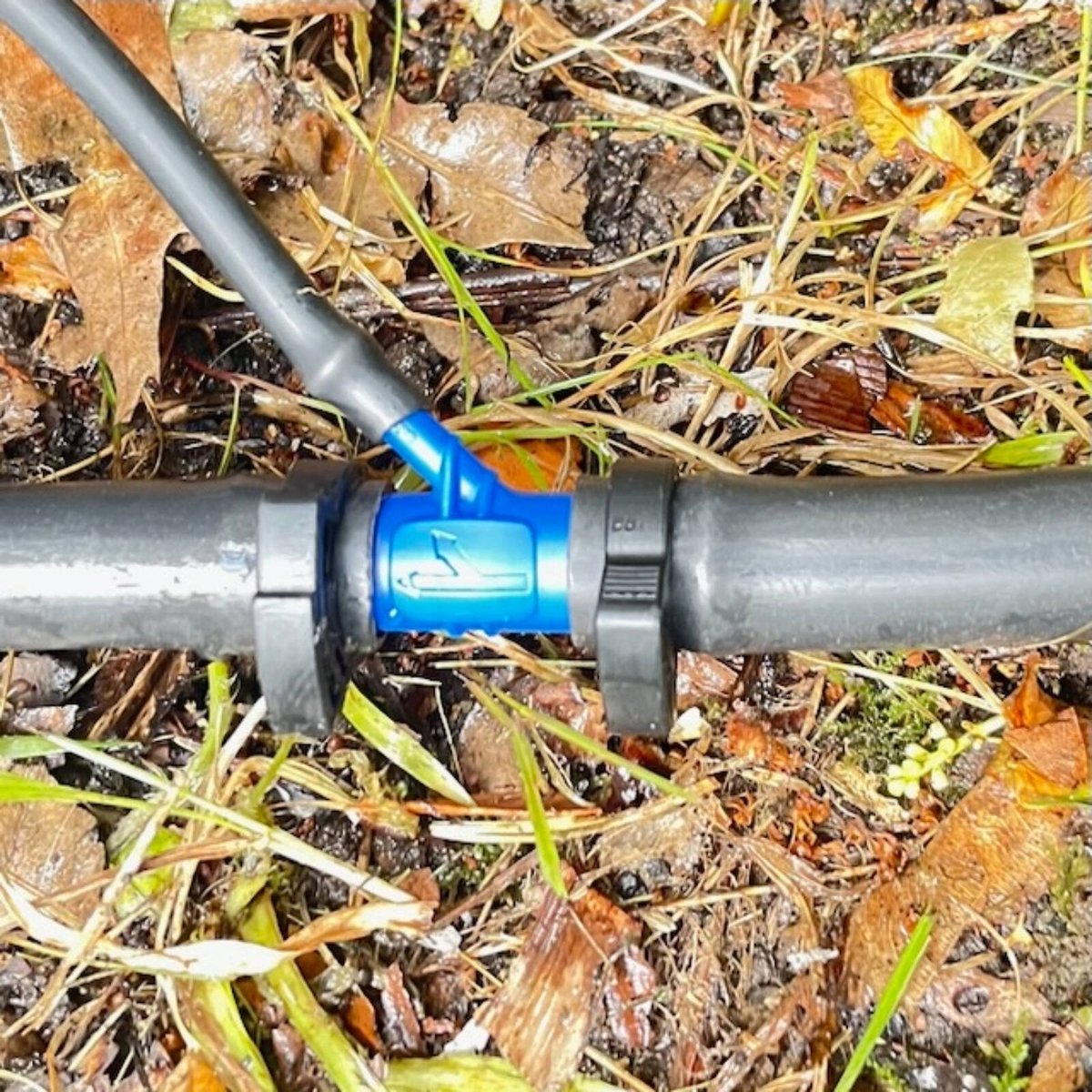 Ladco Poly Irrigation Y Branch 13 x 4mm - Professional Grade - Easy Installation - SuperSaverAU - view 2